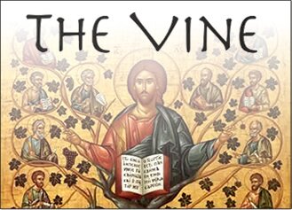 The Vine – March 2019